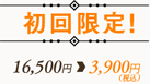 初回限定！16,500円→3,900円