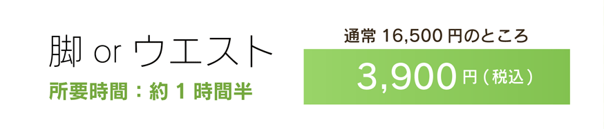 脚 or ウエスト 所要時間：約1時間半 通常16,500円のところ3,900円(税込)